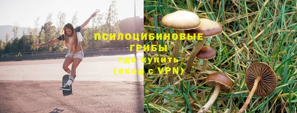 спиды Аркадак