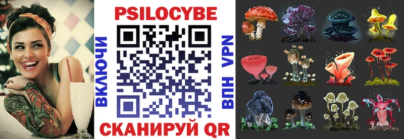 Псилоцибиновые грибы мицелий  Купить закладки  Аргун 