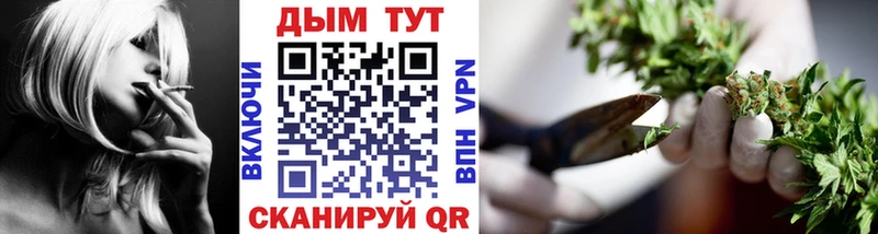Купить  Аргун  Бошки марихуана семена 